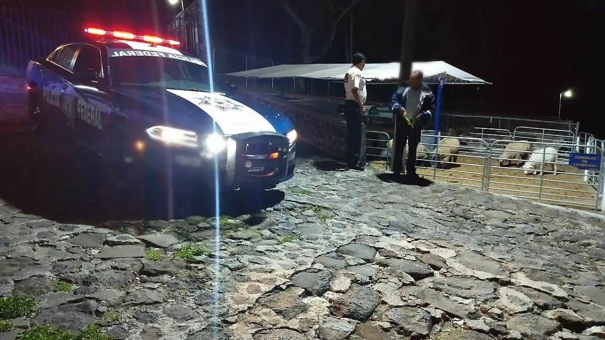 Recorridos en Huitzilac