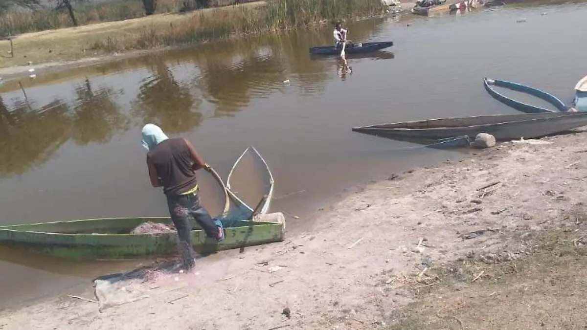 Laguna-coatetelco-muerto