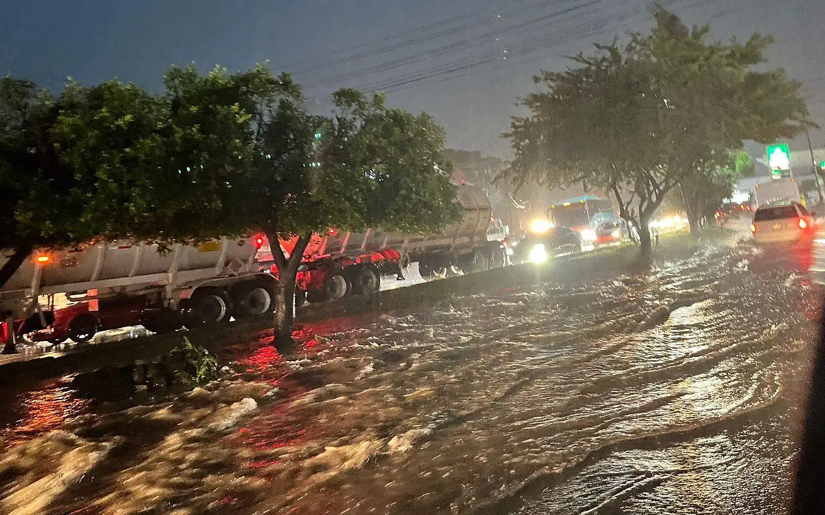 WhatsApp Image 2023-09-16 at 2.55.01 PM