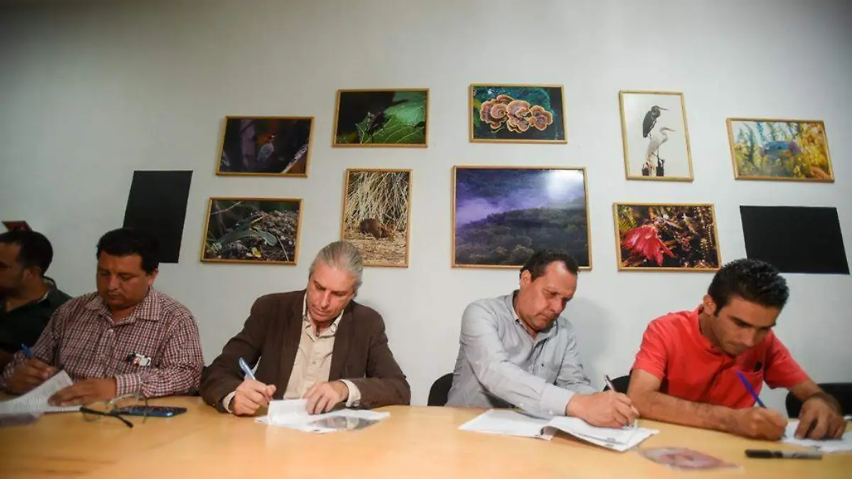 Constantino Maldonado