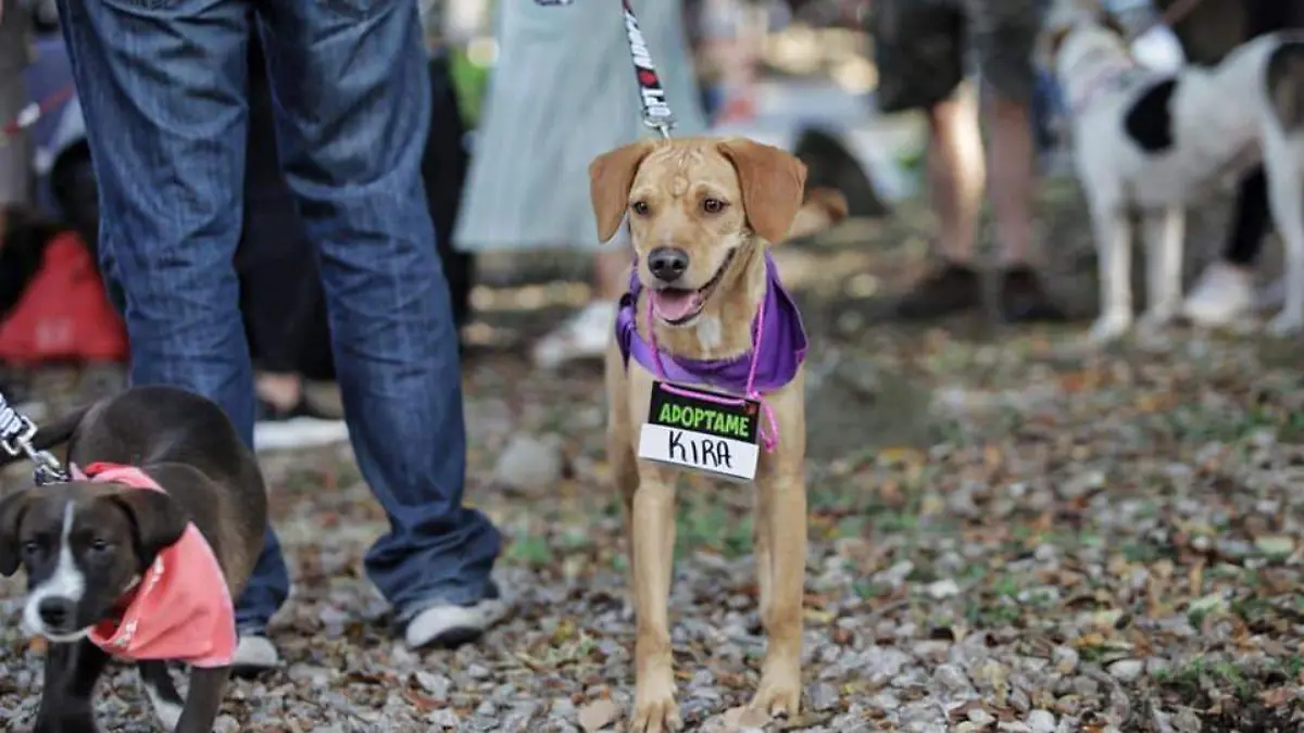 WhatsApp Image 2020-12-06 at 5.47.41 PM