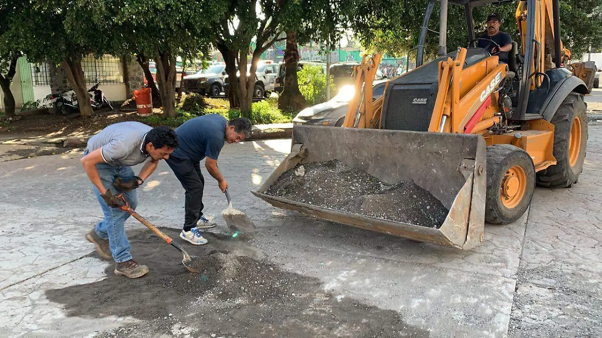 baches