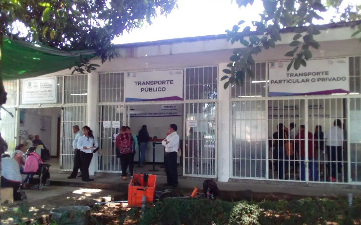 Se alcanzó el 50 por ciento del padrón, ahora ha bajado mucho la demanda Rosaura Hernández
