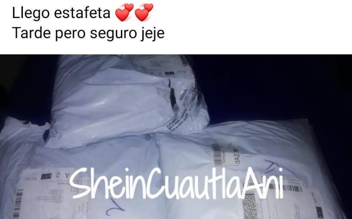 Se han visto en la necesidad de emprender negocios cuyos productos se ofertan a través de redes socialesOFELIA ESPINOZA