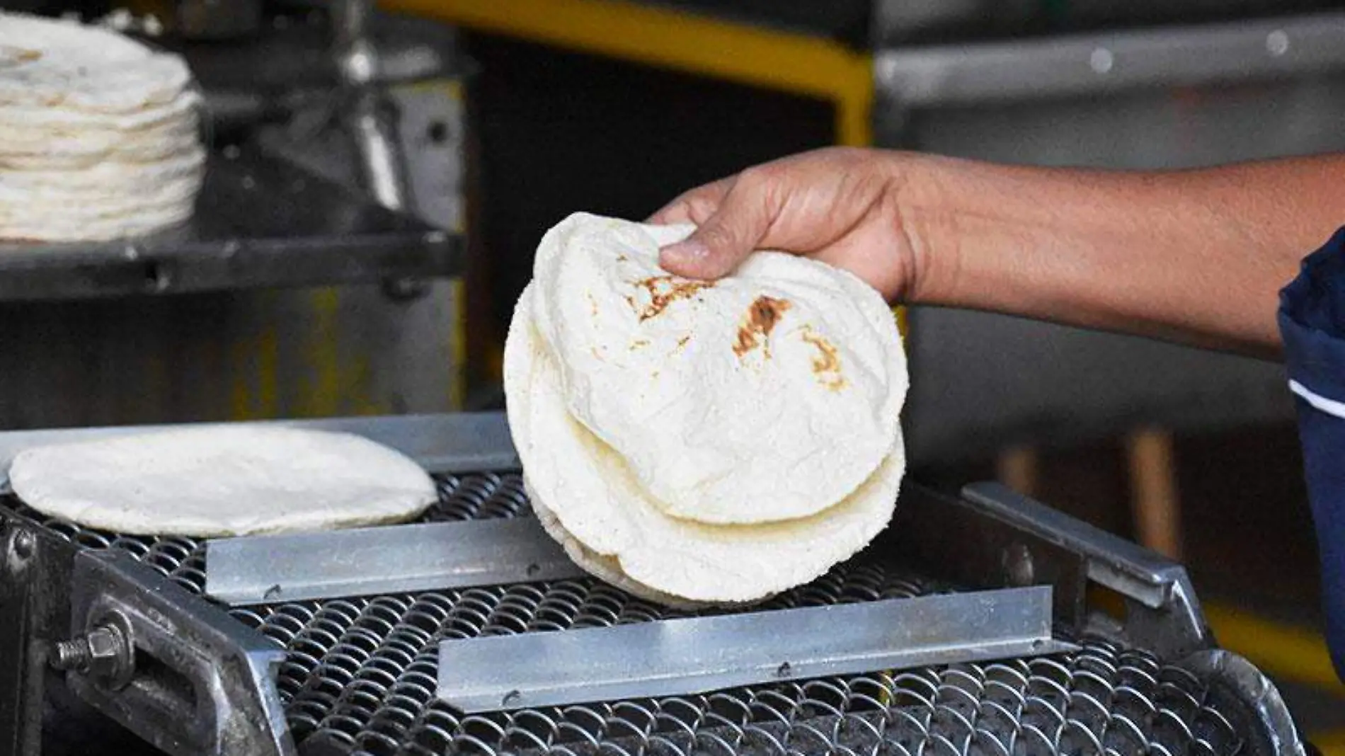 tortillas-morelos