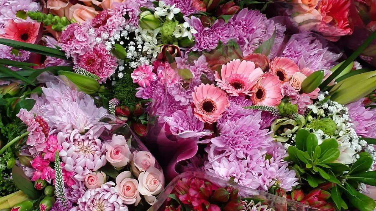 Flores