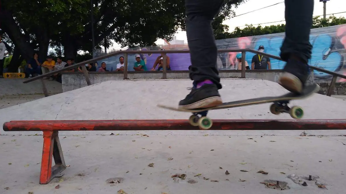 dia-internacional-stake (13)