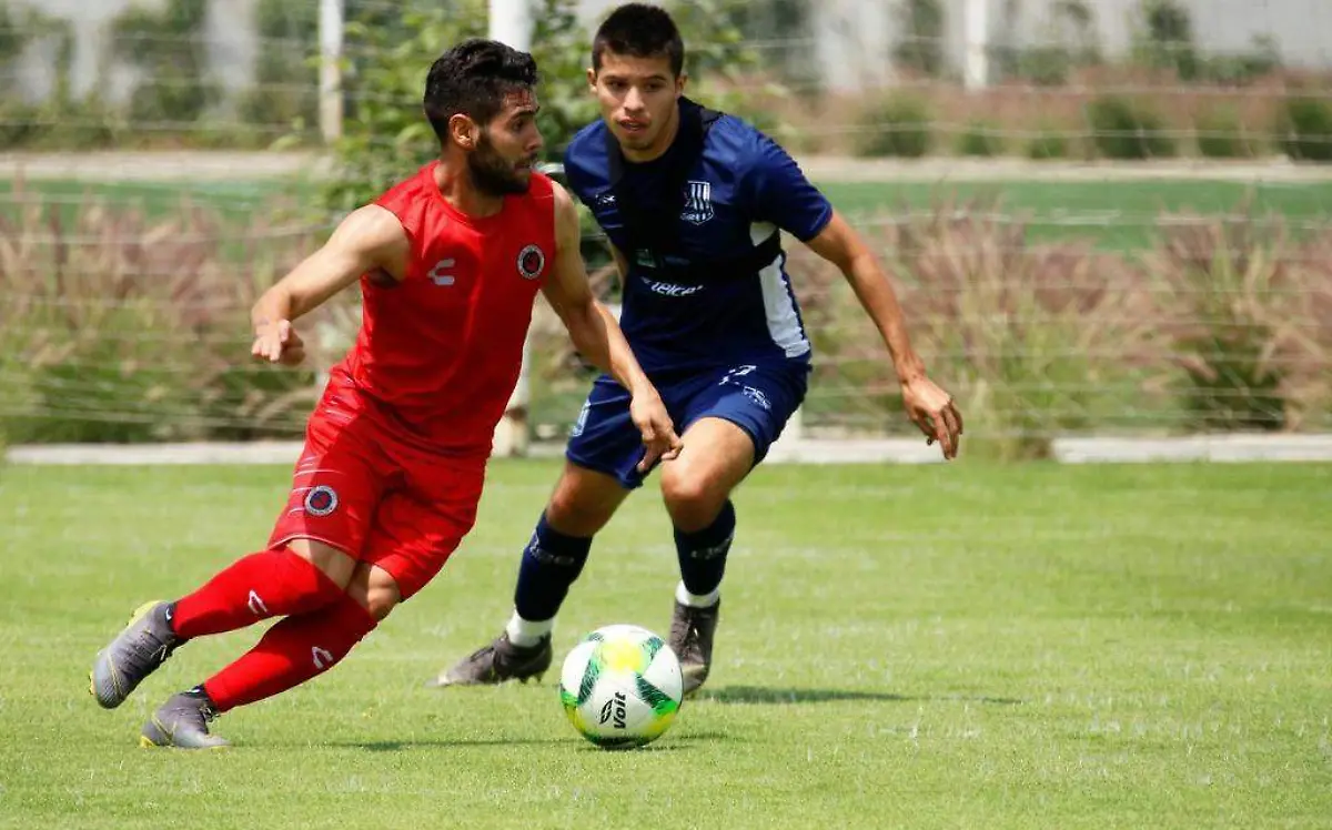 19-ZACATE 1