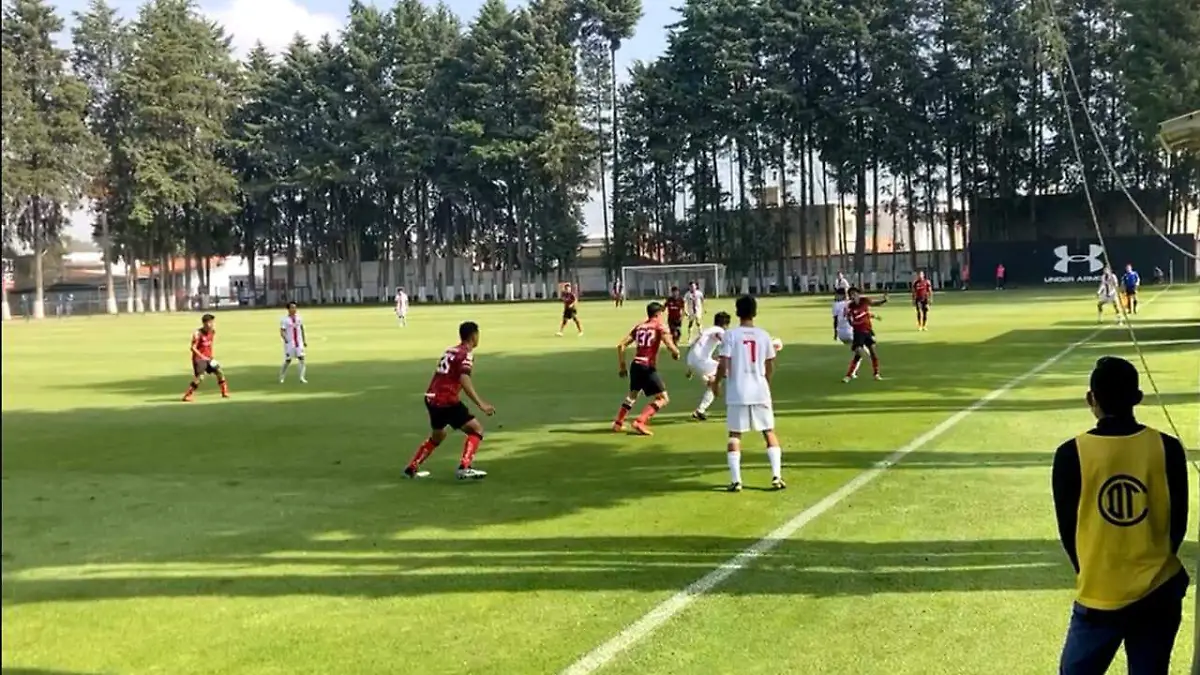 cortesìa-tigres (2)