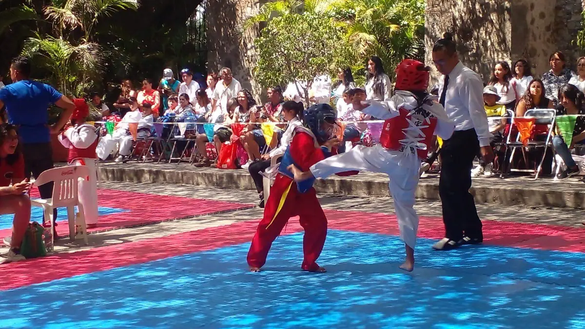 tae-kwon-do