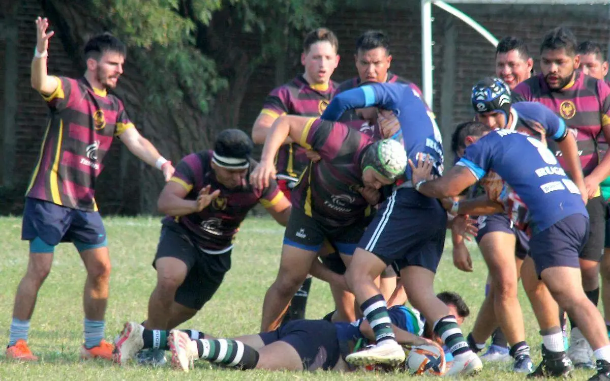 partido-rugby