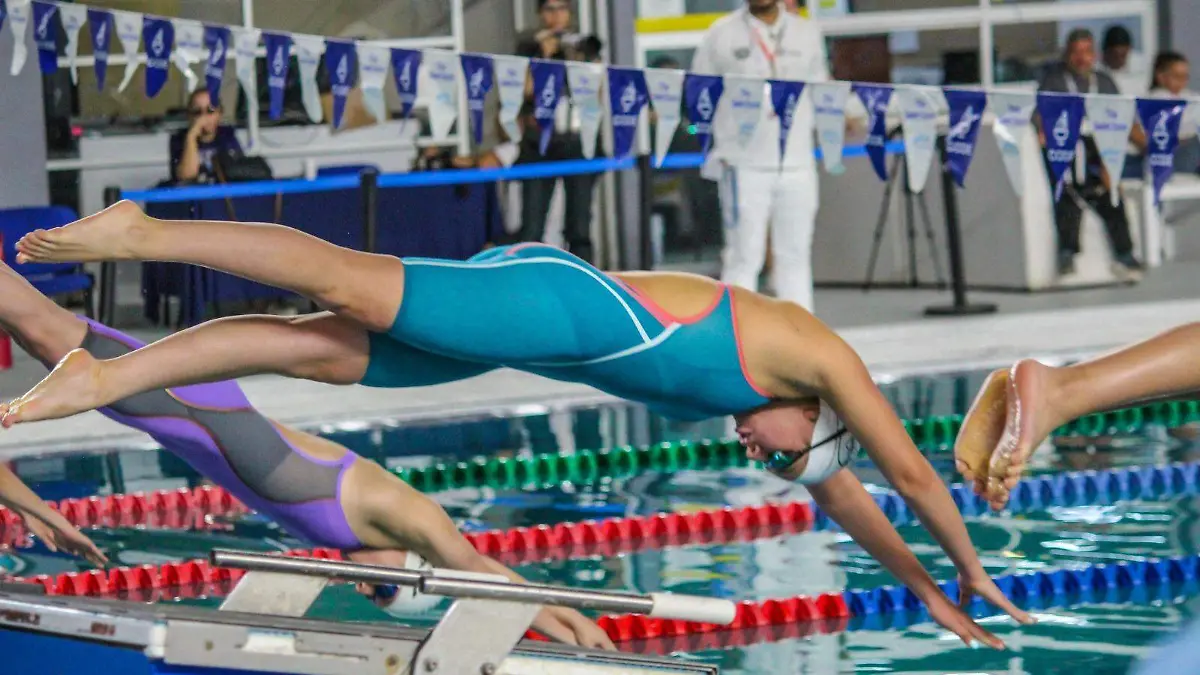 natacion-indem