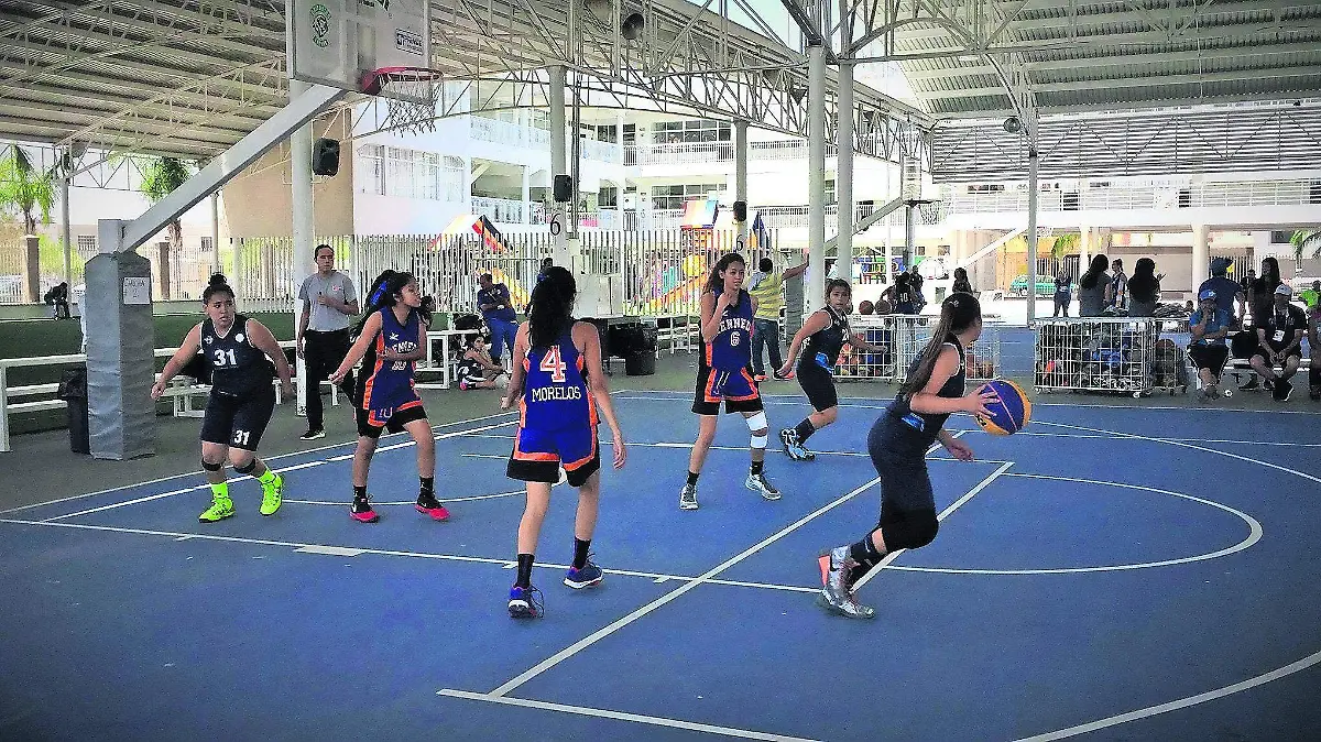 04-BASQUETBOL-F-GRAFICO