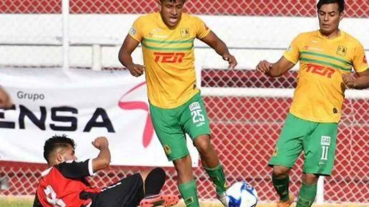 Arroceros del Cuautla2