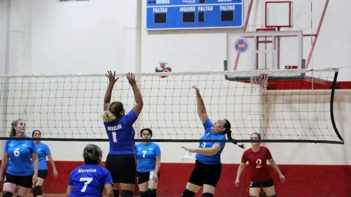 29-VOLEIBOL SALA-F-ROGER