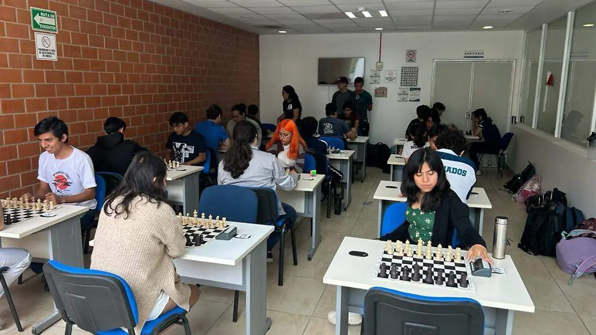 universitarios