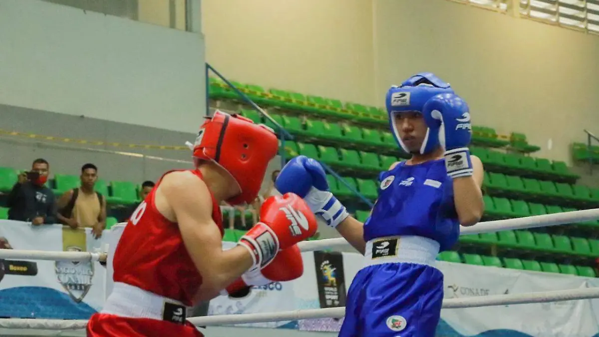 box-indem