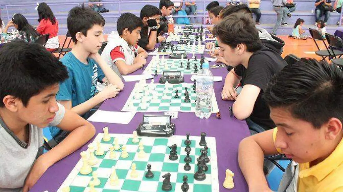 deporte-ajedrez-roger