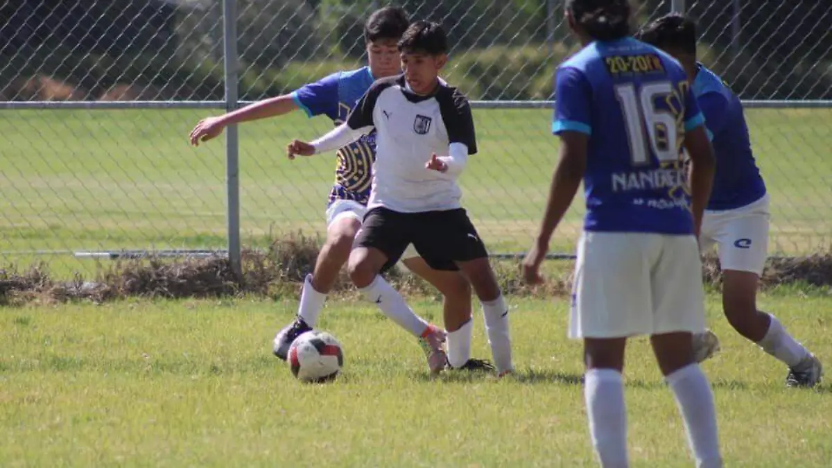 futbol-mapache-ligamx