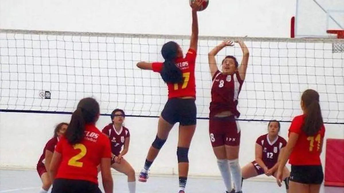 voleibol-femenil
