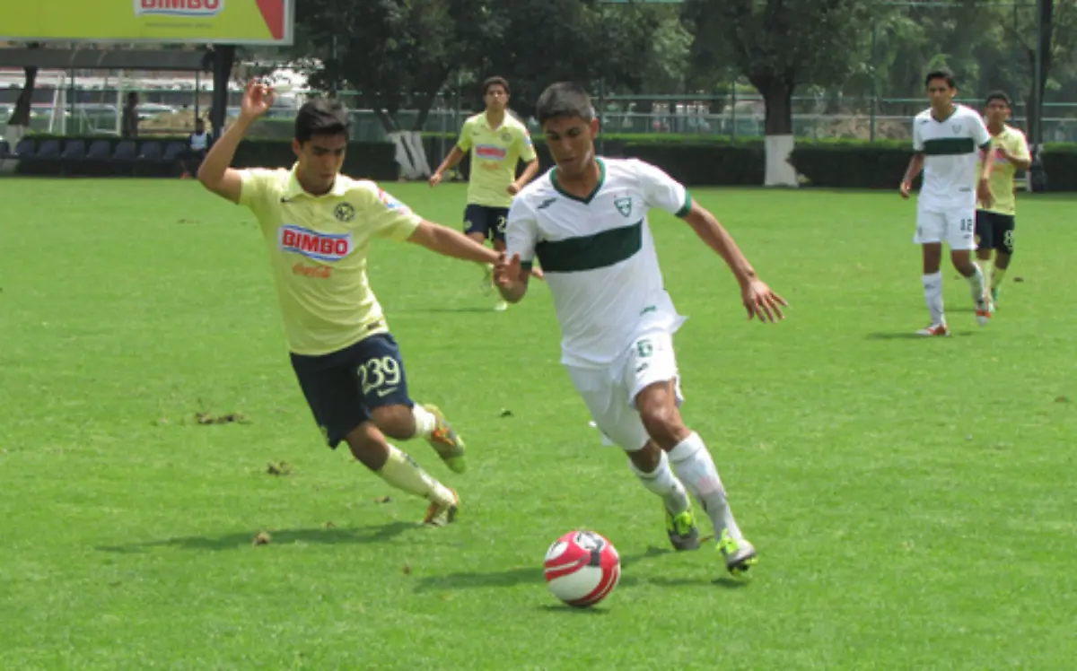 En la temporada que recientemente terminó, desempeñaron una destacada actuaciónCORTESÍA