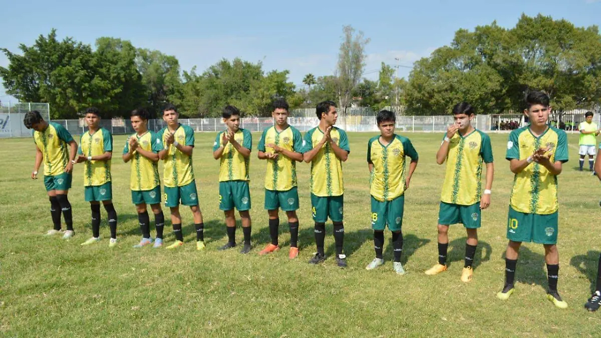 08-ARROCEROS TOGRES-F-ROGER