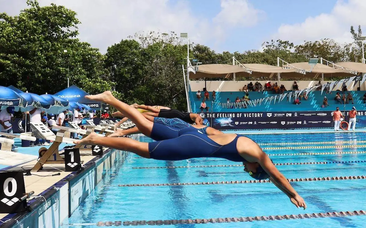 encuentro-natacion-cancun
