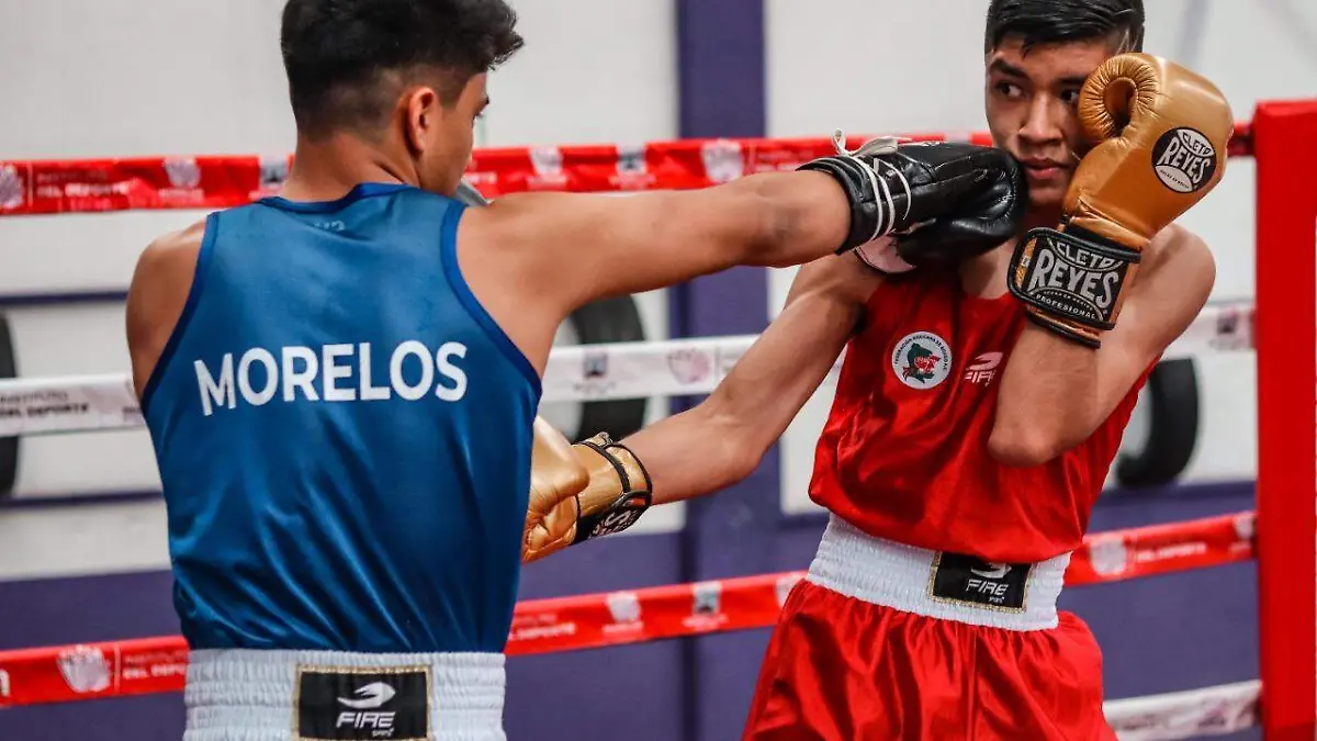 EN BOX-F-INDEM