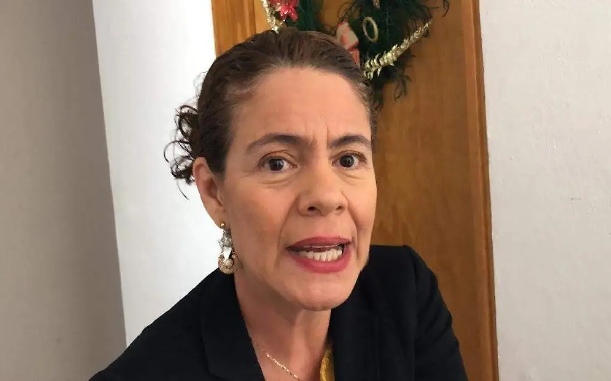 Los diputados no están de acuerdo, no se había generado el consenso para incrementar impuestos ni las cuotas de los derechos, señaló Rosalina MazariHaidee Galicia