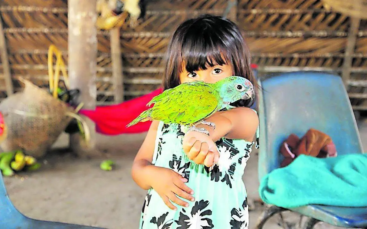 Interacción humano – naturaleza Fotografías Catalina Campo Imbaquingo