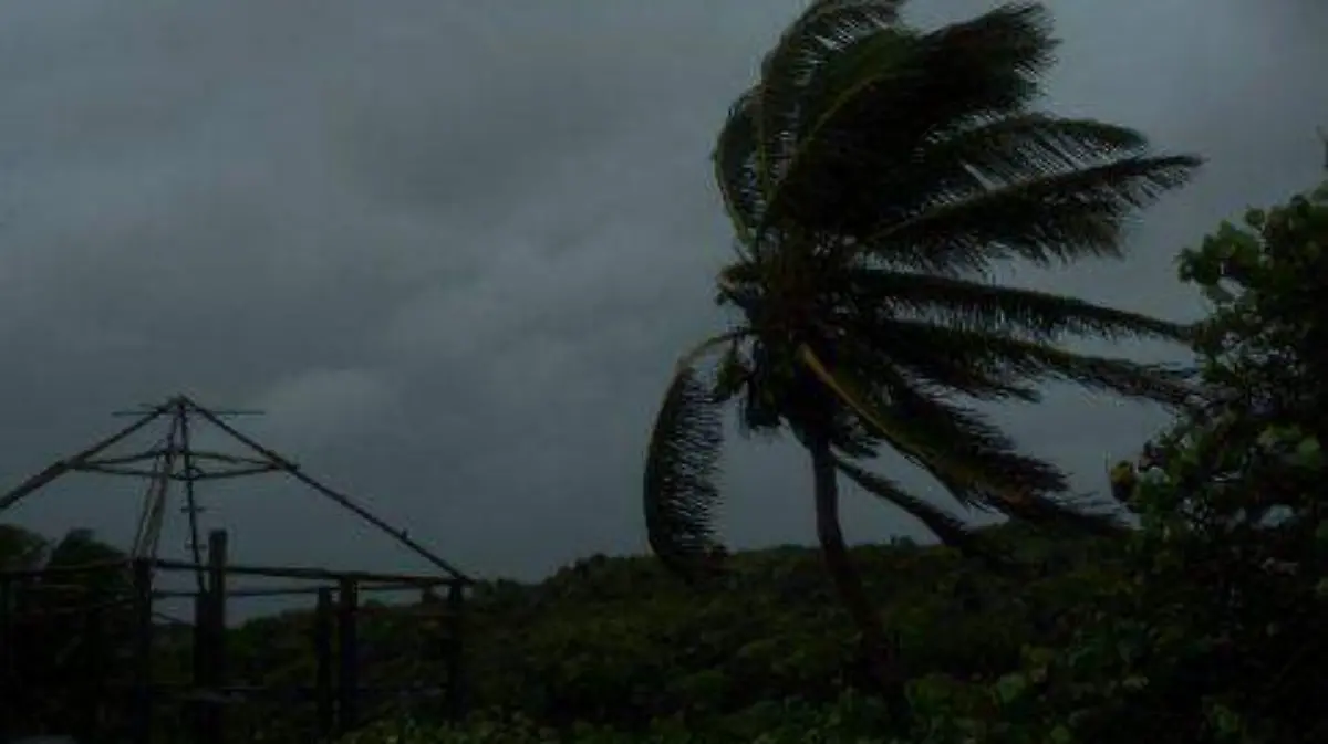 8913647-483x297