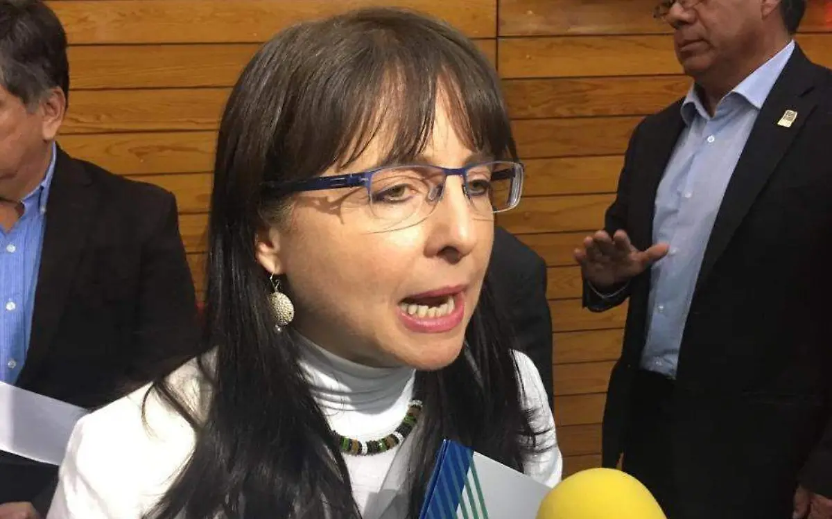 María Elena Álvarez señaló que para 2020 la ciencia y la tecnología tendrán un presupuesto global de más de 80 mil millones de pesosKaty Cárdenas