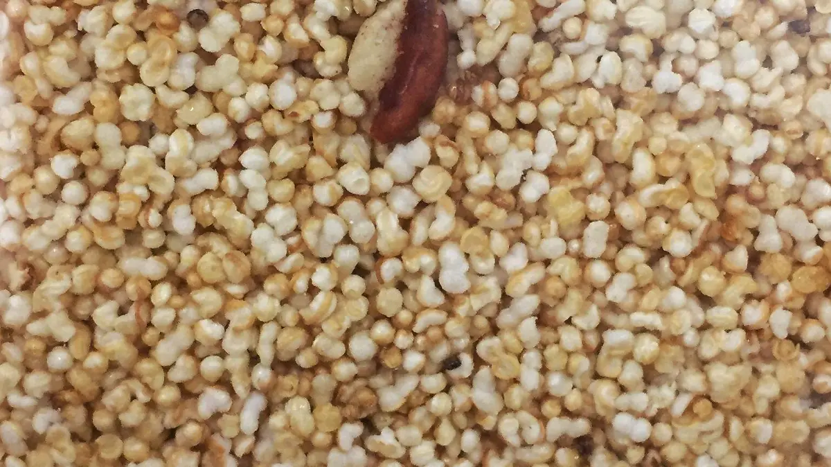 Alegría y resistencia