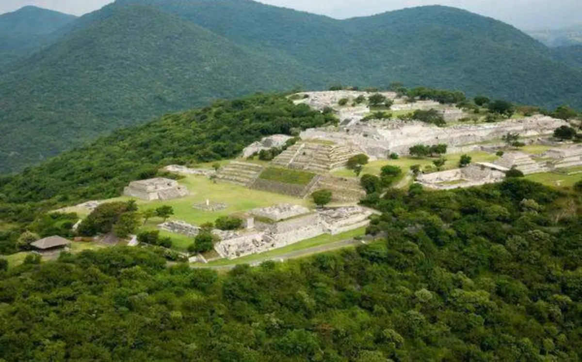 Están en peligro de desaparecer especies mayores como el venado cola blanca, en los cerros de Xochicalco/ Cortesía