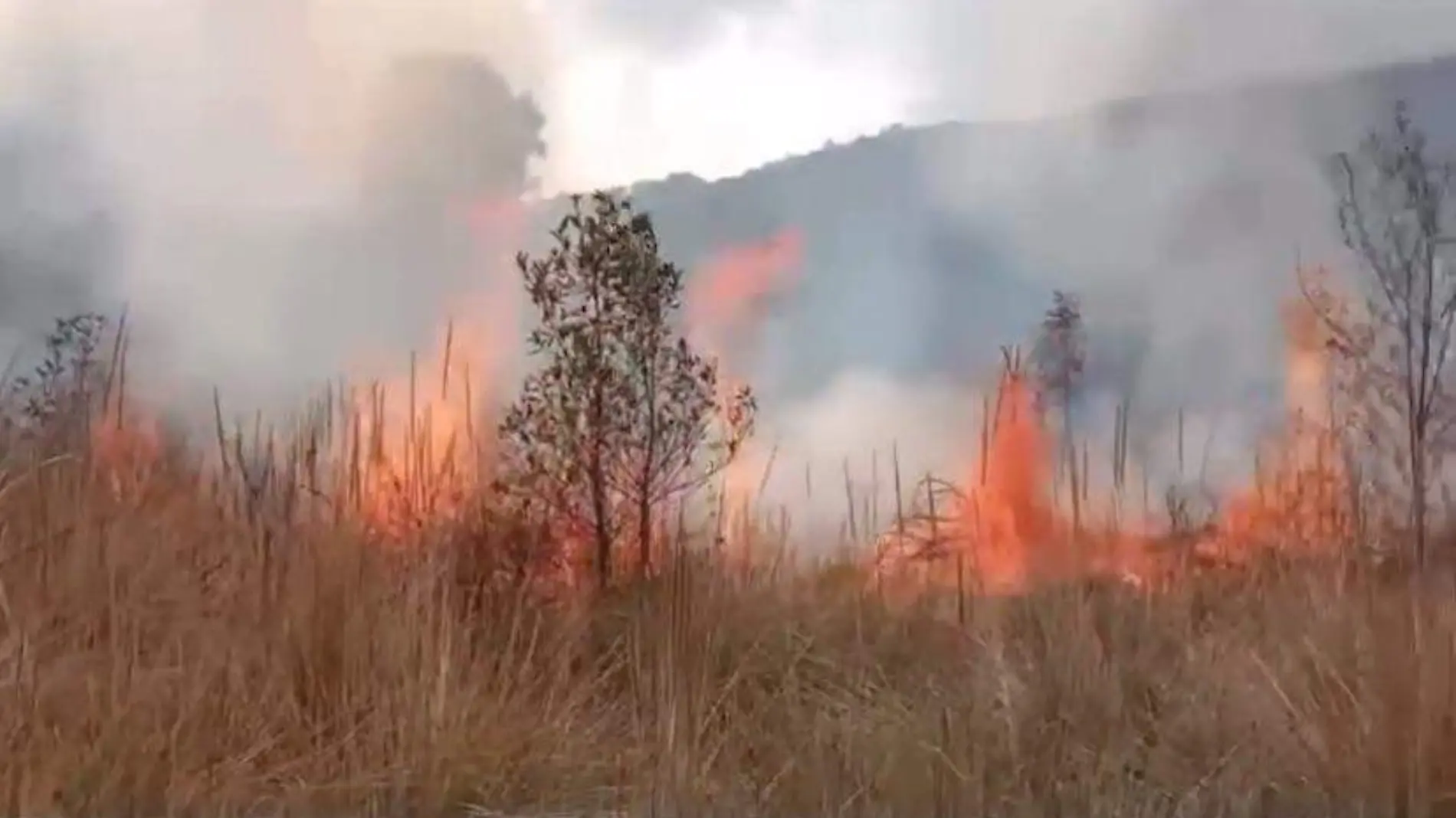 incendio-forestal-huitzilac