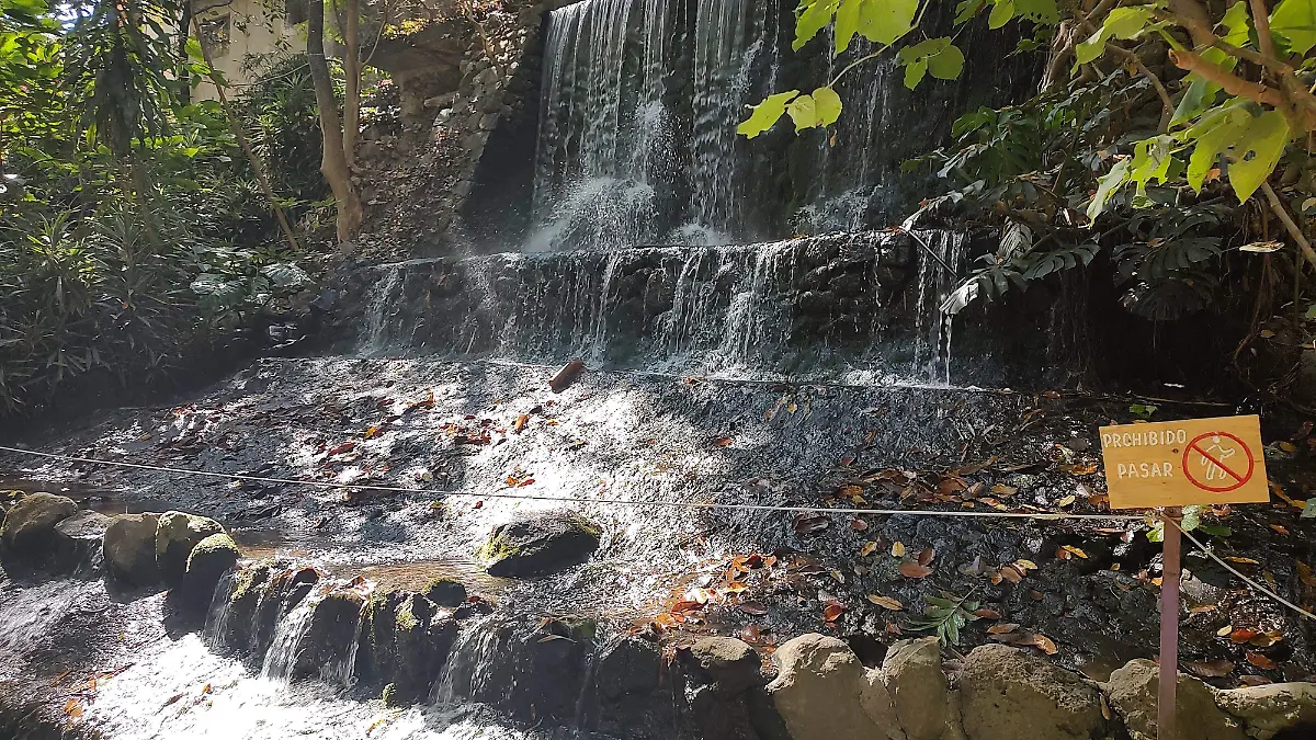 vacaciones-cuernavaca-cinco