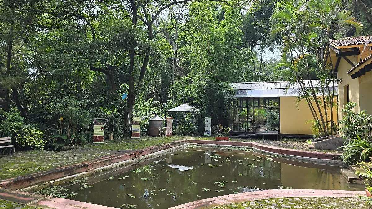 vacaciones-cuernavaca-uno