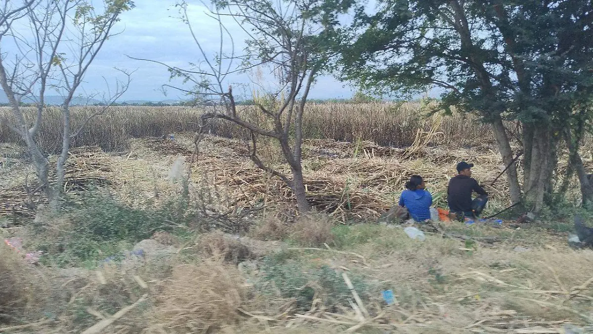trabajadores-campo-morelos