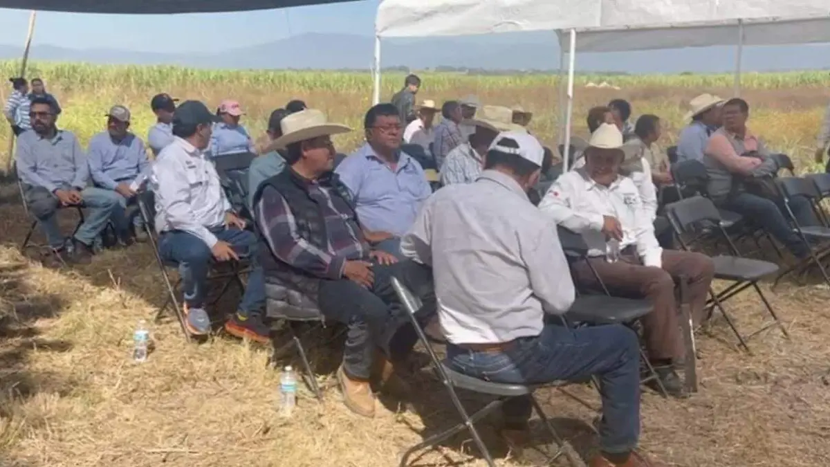 productores-mazatepec-caña-angelina-albarrán