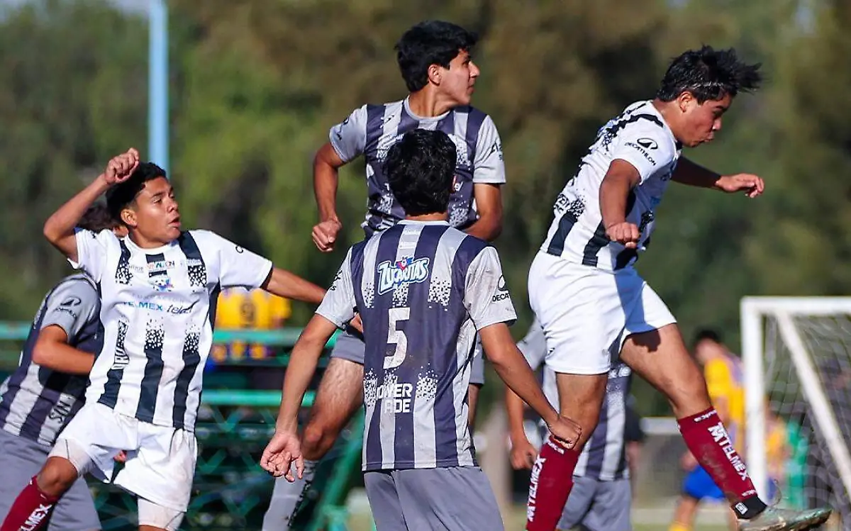 copa-telmex