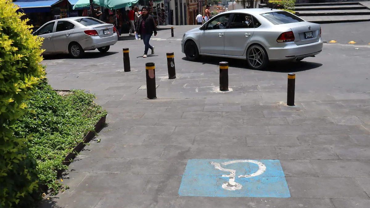 silvia-discapacidad3-luis-flores