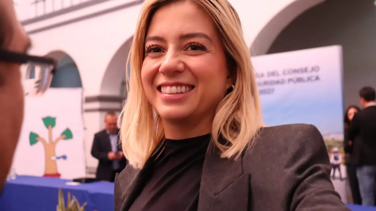 propuesta-morena2-luis-flores