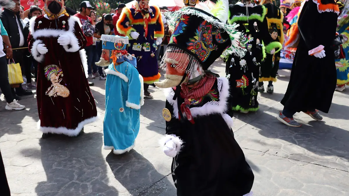 alfonso-carnaval3-luis-flores