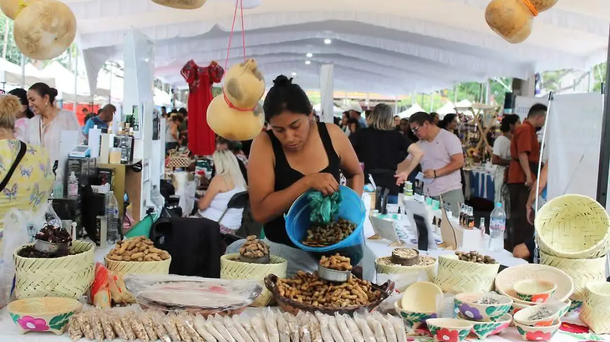 medicina-tradicional-gobierno-morelos (1)