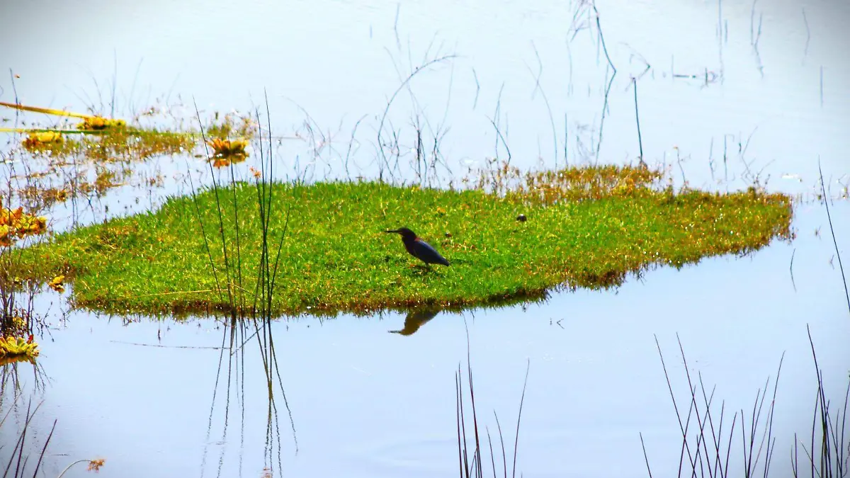 coatetelco-luis-2horas