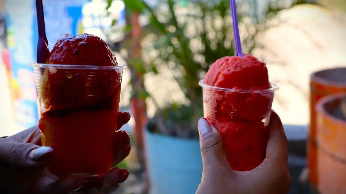 coatetelco-luis-2horas-pescado-nieves