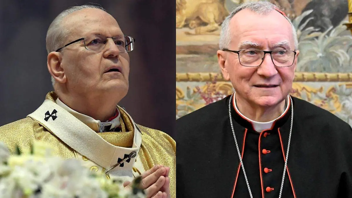 Papa Francisco sucesores