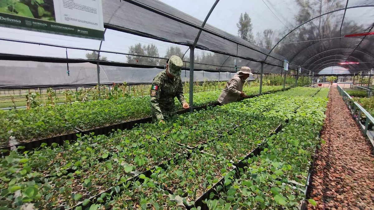 vivero-forestal-estatal
