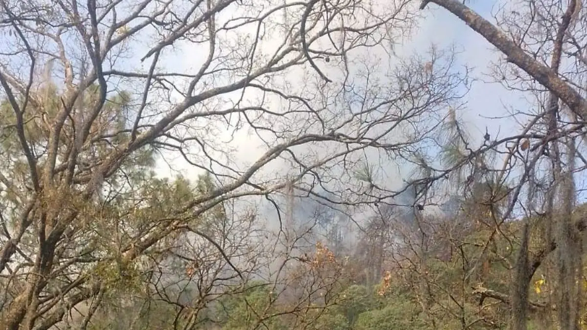 incendio-forestal