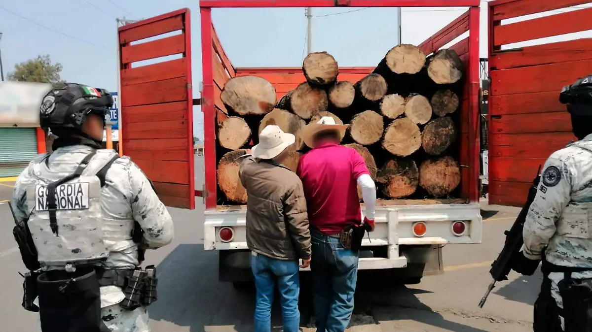 camion-con-madera-ilegal